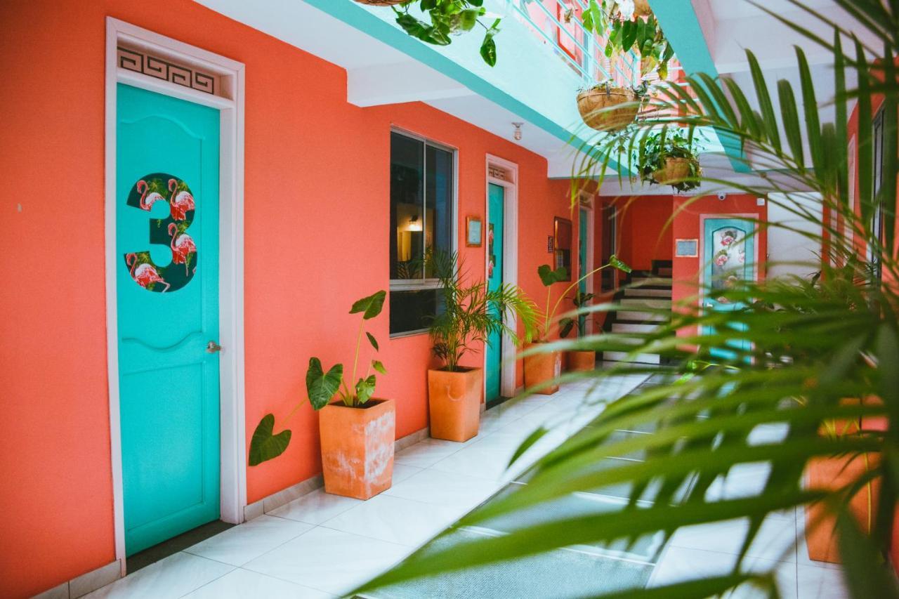 Flamingo Hostel & Coworking - Santa Marta (Magdalena) — Fotos 2